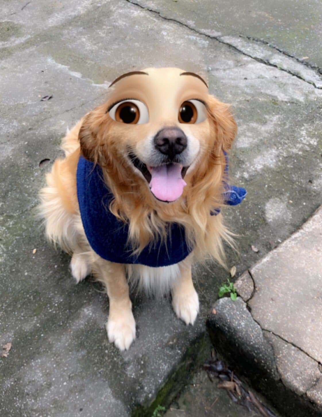 ¿Acaso pueden verse aún más adorables?