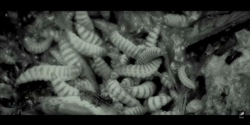 La película de 'Slender Man' tiene imágenes perturbadoras