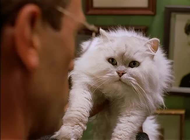 Pelusa era el gato que le hacía la vida imposible a Stuart Little.