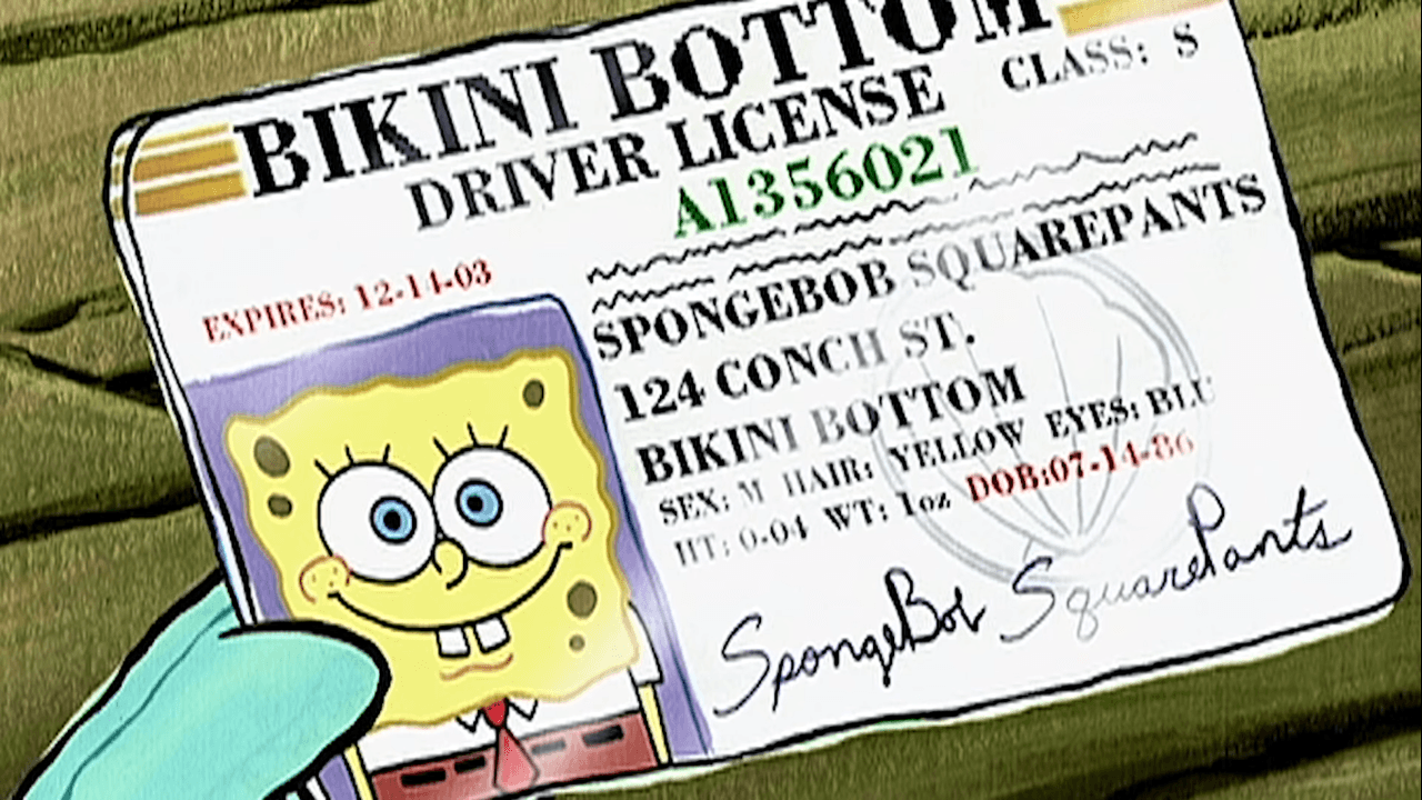 Licencia para conducir de Bob Esponja, ¿ya checaste su firma?