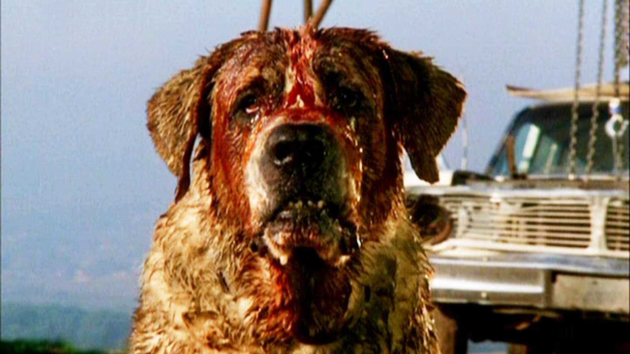 Cujo, un relato básico para los fans de King, fue adaptado en una película acerca de un perro rabioso. La cual carece de la tensión que alcanza el libro, suavizaron los momentos de horror y tiene un final malísimo. Hasta es parodiada seguido.