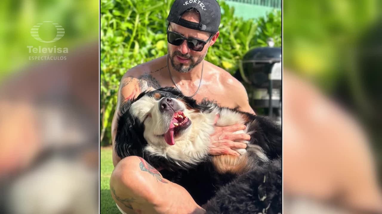 José Ron está de luto y se despide con tierno mensaje: 'Qué bonito fue nuestro amor'