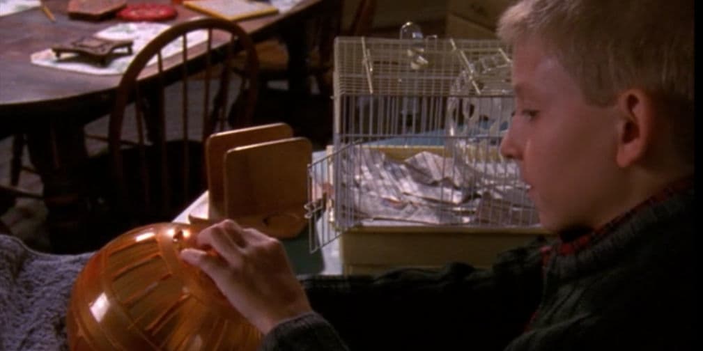 ¿Recuerdas al hamster de Malcolm in the Middle?