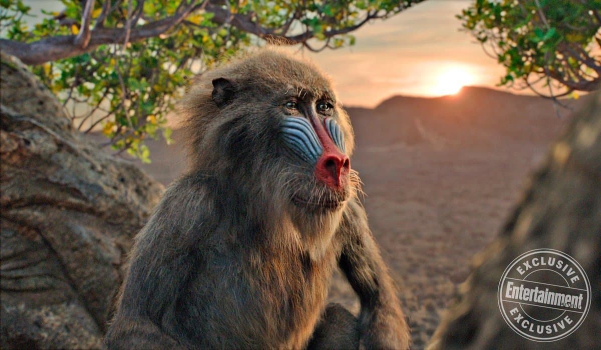 Por otro lado así luce el sabio Rafiki.