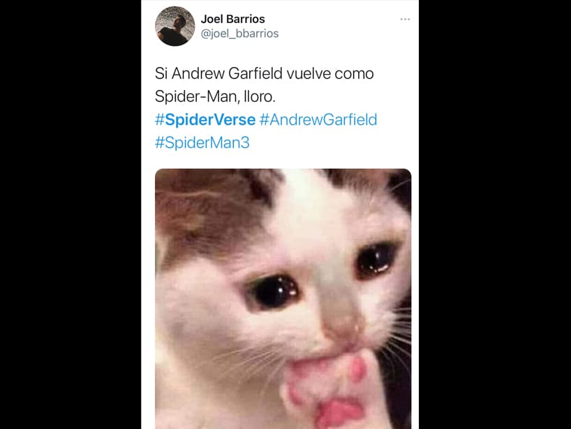 Este meme con el gato nos representa.