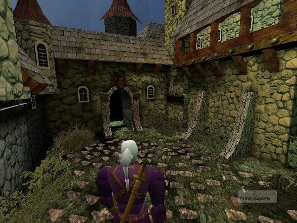 The Witcher
