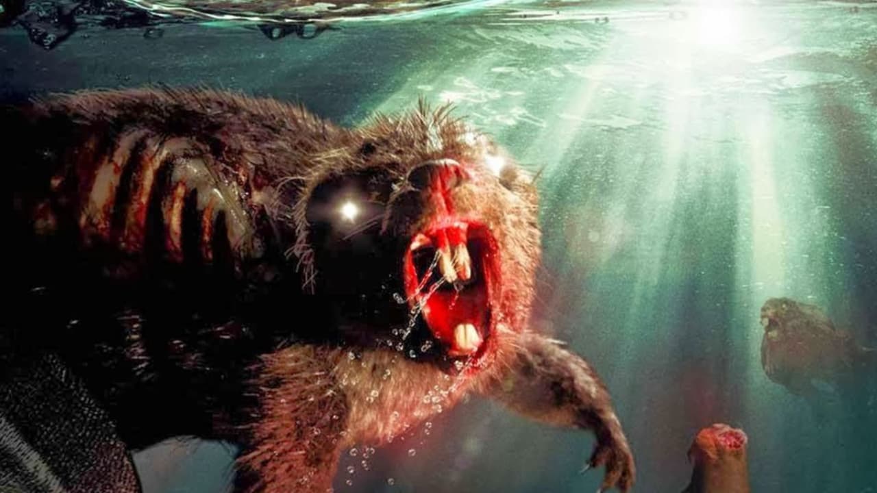 ¡Unos lindos castores se convertirán en zombies asesinos! Vela por Canal 5