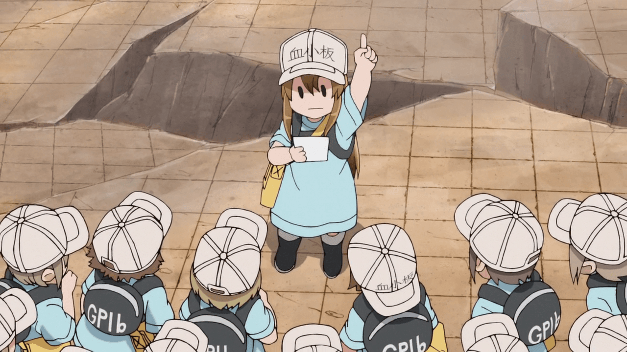 Cells at Work!