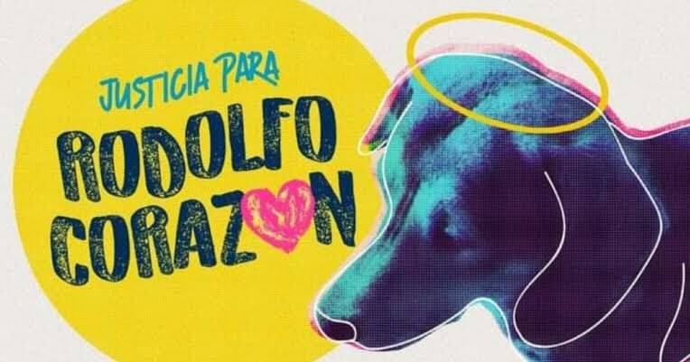 Con los perritos no: Movimiento #JusticiaParaRodolfo indigna y moviliza a Internet