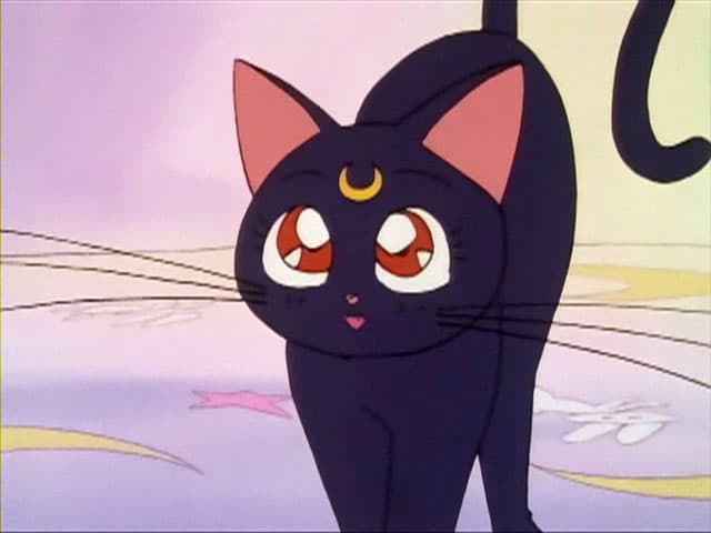 Luna es la inigualable consejera de las Sailor Scouts en 'Sailor Moon'.