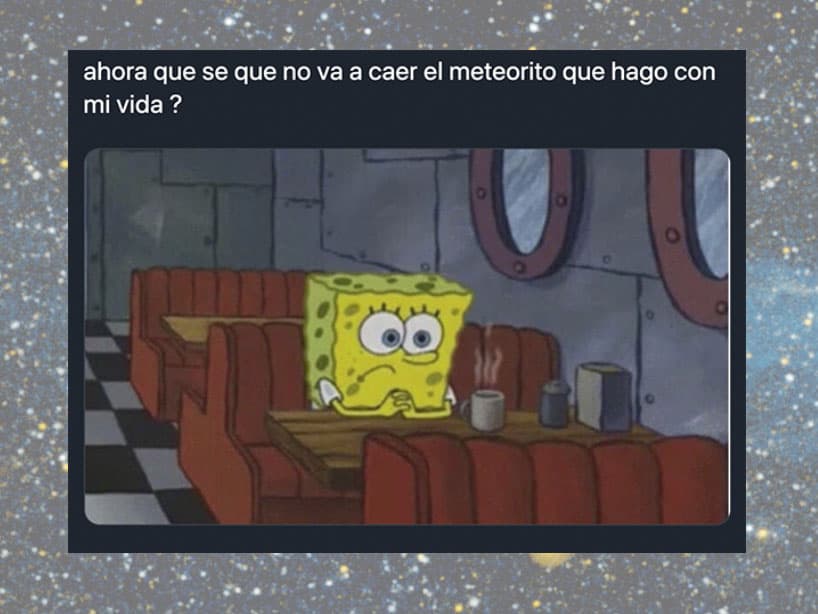 Los que deberas creían que iba a caer, ahora no saben cómo seguir con sus vidas.