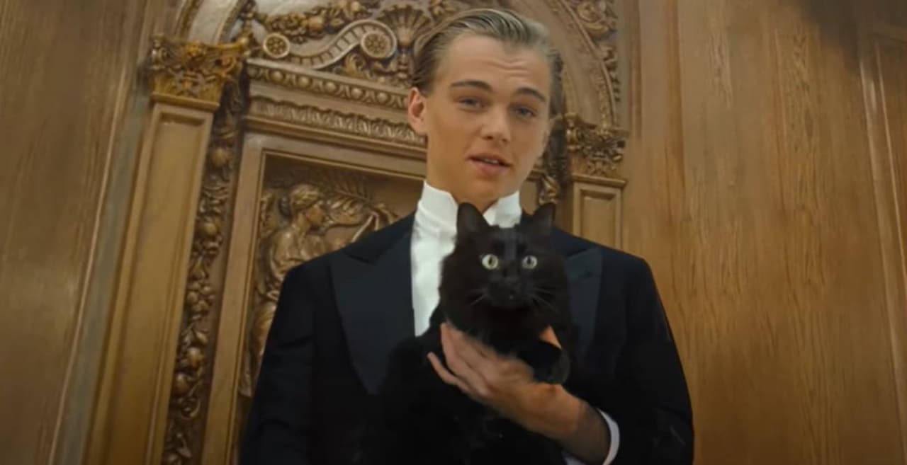 Crean parodia de Titanic con un gato y se hace viral