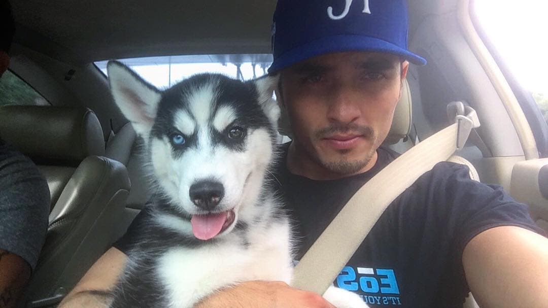 “Mi hijo #Blu #Husky”, escribió Chrisitan para presentar a su perrito en octubre de 2016.