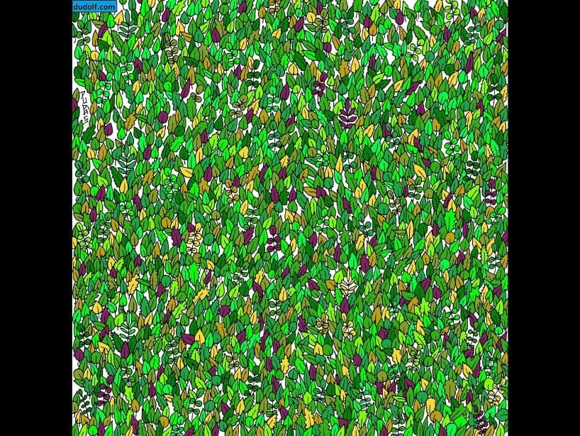 Uno más difícil, entre todos estos objetos verdes, hay una rana, ¿dónde está?