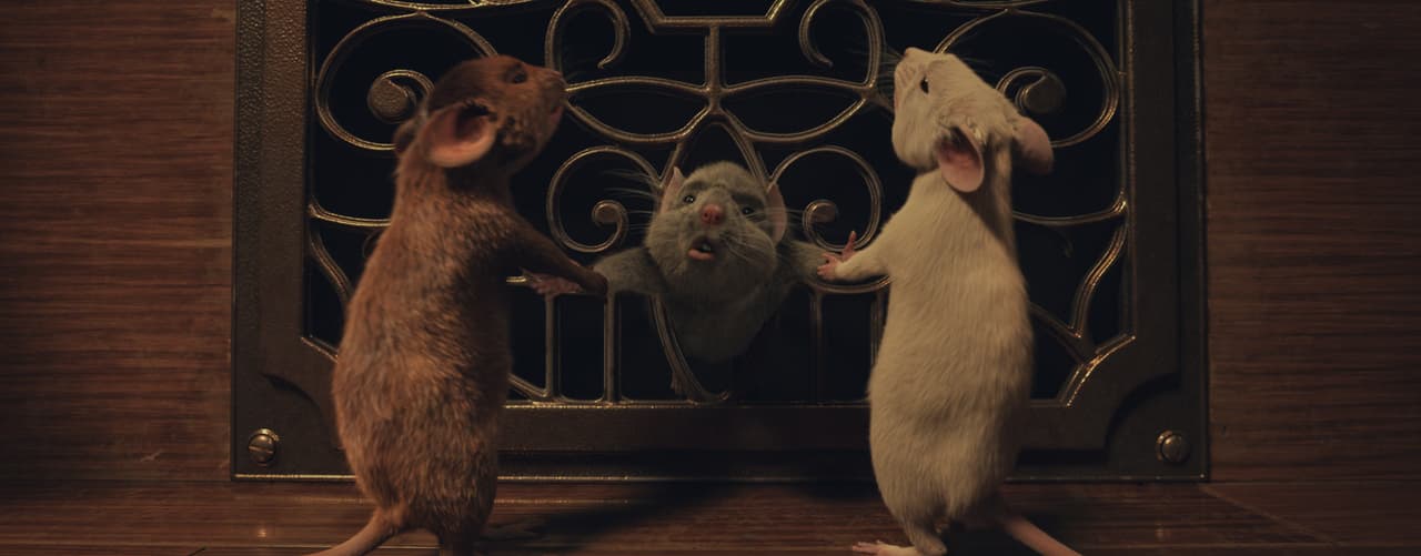 Still de la película 'The Witches'