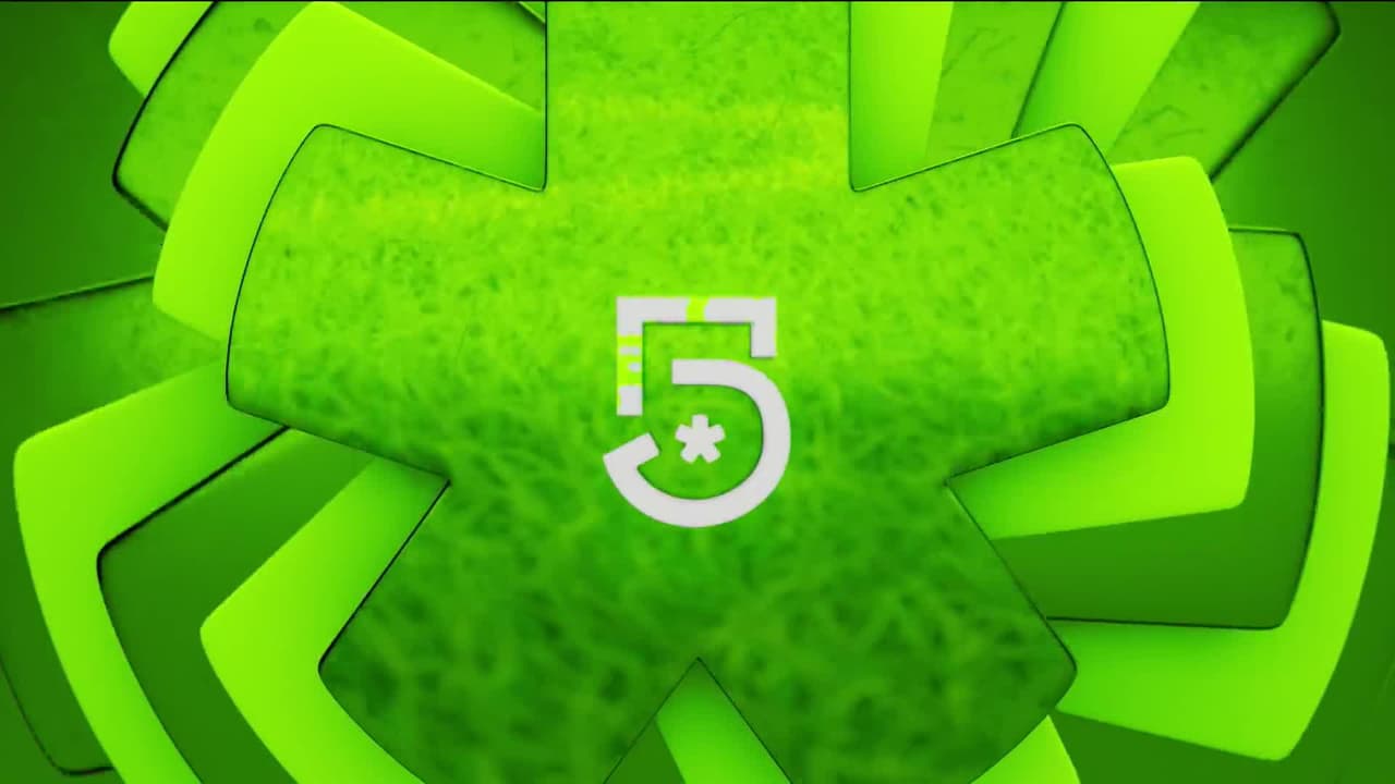 ¡En este Mundial 2026 también necesitamos ternura!