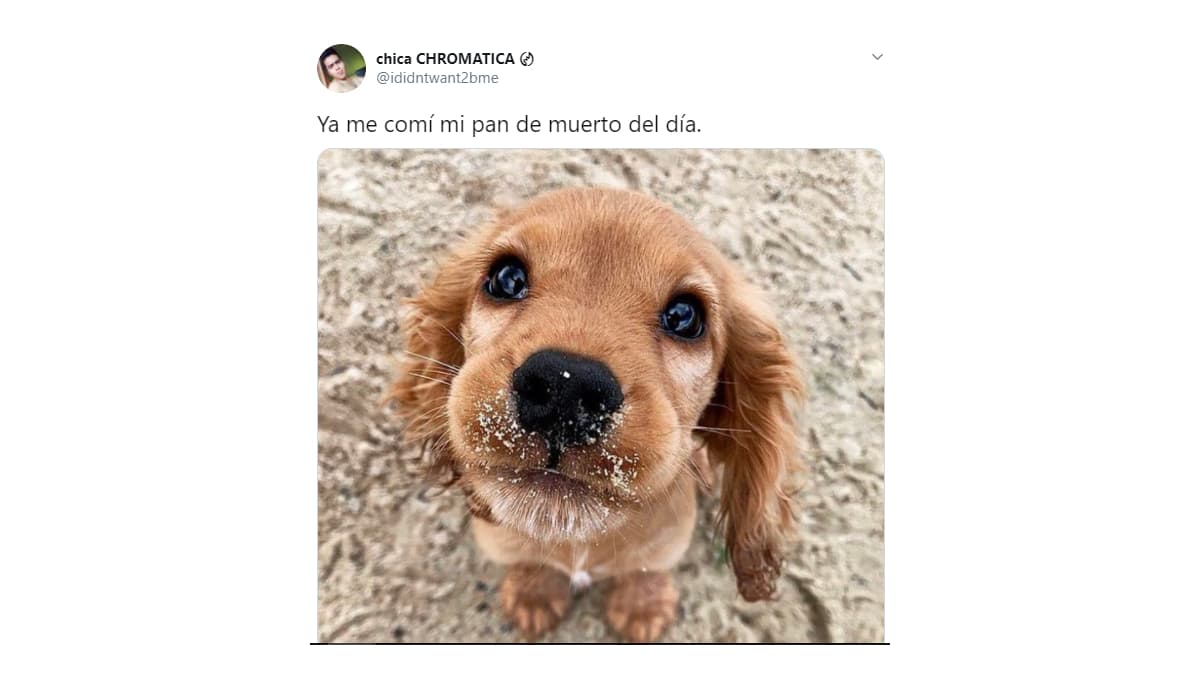 ¿Ya desayunaron su ración del día?