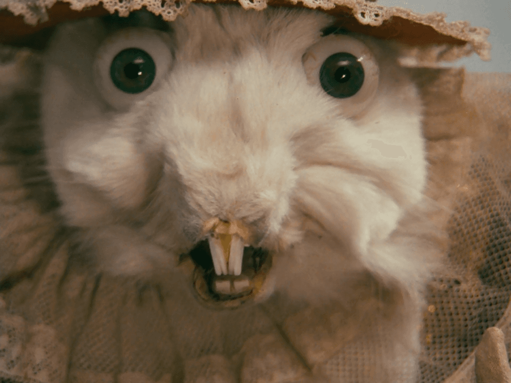 Neco z Alenky (1988): Esta versión de "Alicia en el país de las maravillas" es inquietante. El cineasta surrealista checo Jan Švankmajer suele combinar stop motion con live action, como en este caso, en el que además nos muestra una versión peculiar de los personajes de Lewis Carrol. Es todo lo que neceistas saber.