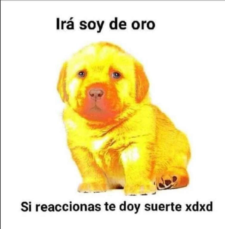 Es simplemente una joya,