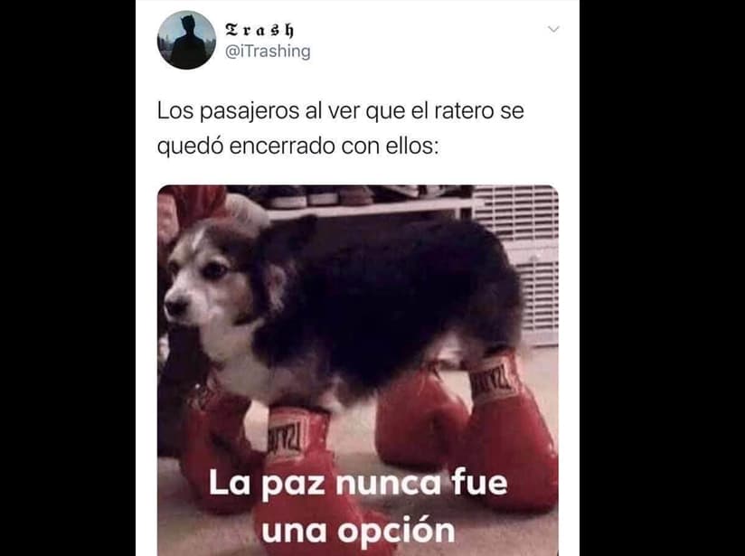 Asalta frustrado en combi genera ola de memes
