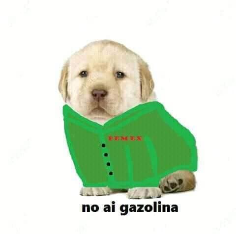 Por lo visto el desabasto de este perrito no llegará pronto.