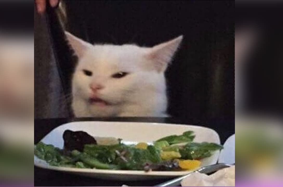 Tal vez no lo conozcas por su nombre, pero Smudge es el famoso gato que se convirtió en meme por hacerle caras a la comida. En su Instagram tiene varias fotos así.