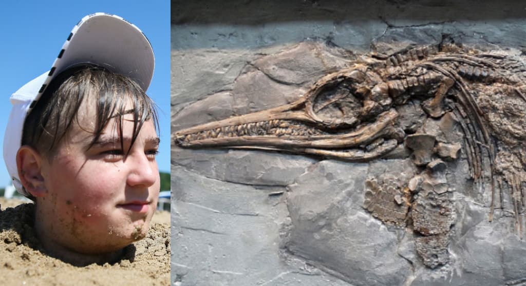 ¡Como en Jurassic Park! Niños encontraron dinosaurio cuando jugaban en la playa