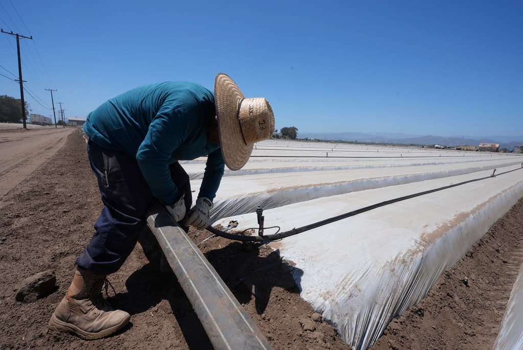 Redadas de ICE e incertidumbre sobre la política migratoria de Trump ahuyentan a trabajadores y desconciertan a las empresas