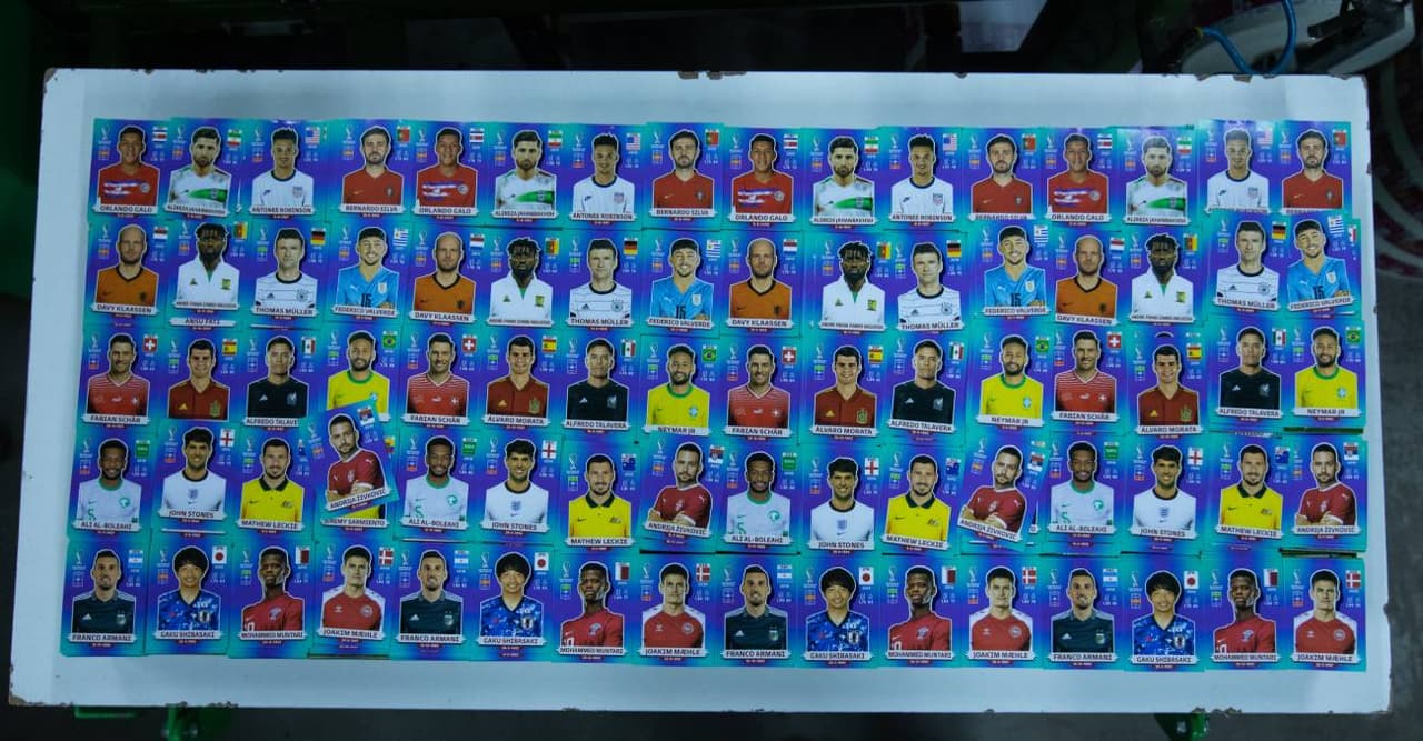 Pdf álbum Qatar 2022: Cosas que no sabías de las estampas