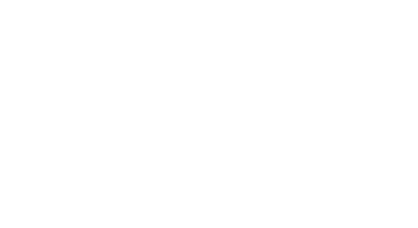 Hotel VIP