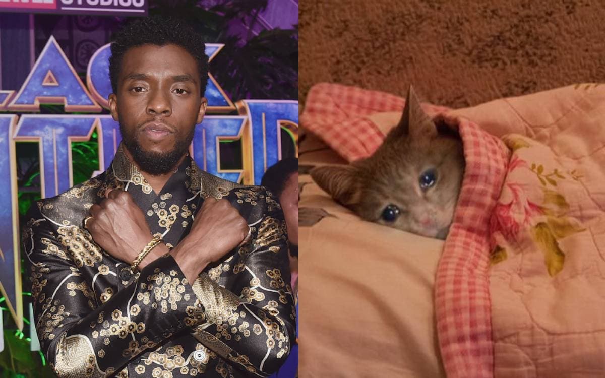 Chadwick Boseman aparece por última vez en 'What If...?'