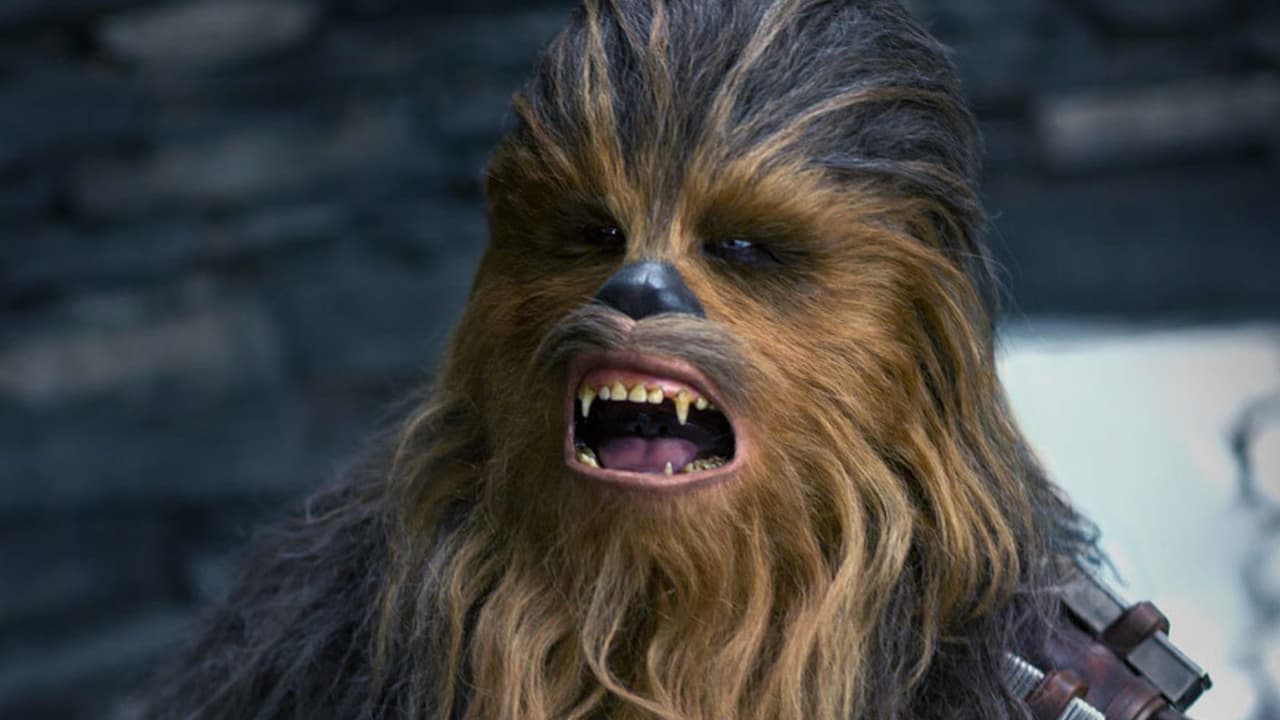Chewbacca es el wookie más querido por toda la galaxia. Lo hemos visto a través de varias películas de la saga de 'Star Wars' al lado de su amigo Han Solo.