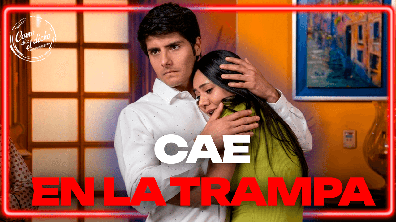 Sebastián cae en la trampa y cree de verdad que embarazó a Anahí