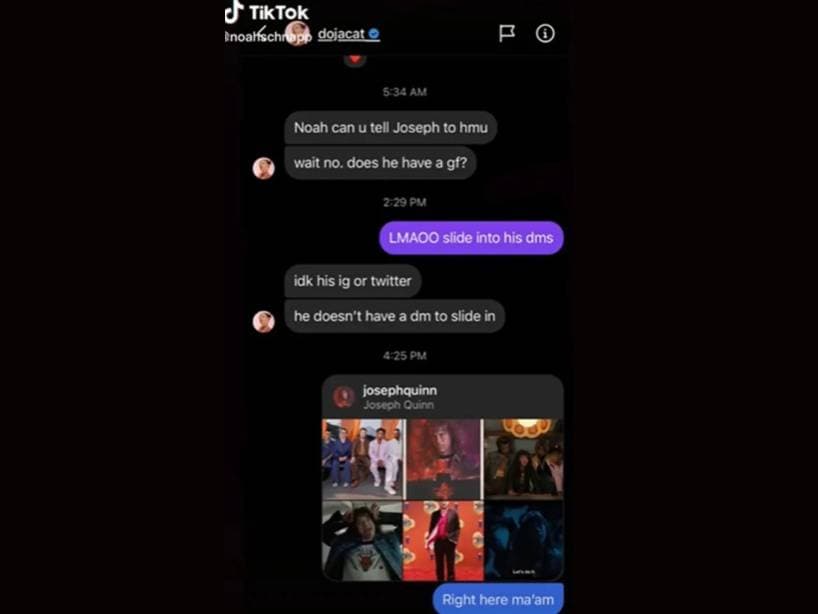 Noah Schnapp mostró parte de la conversación en su TikTok.