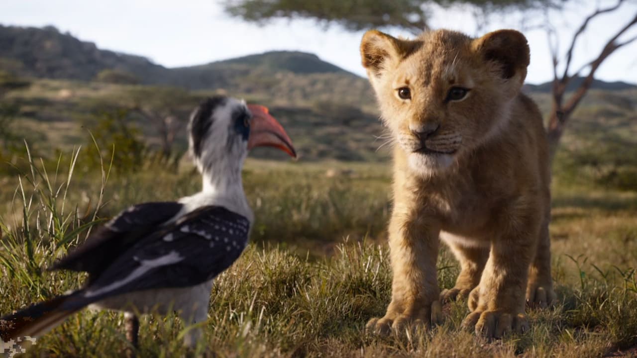 'El Rey León'