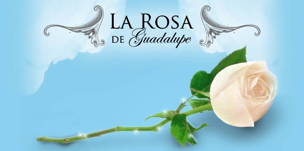 La Rosa de Guadalupe cumple 19 años: la historia del programa que marcó generaciones