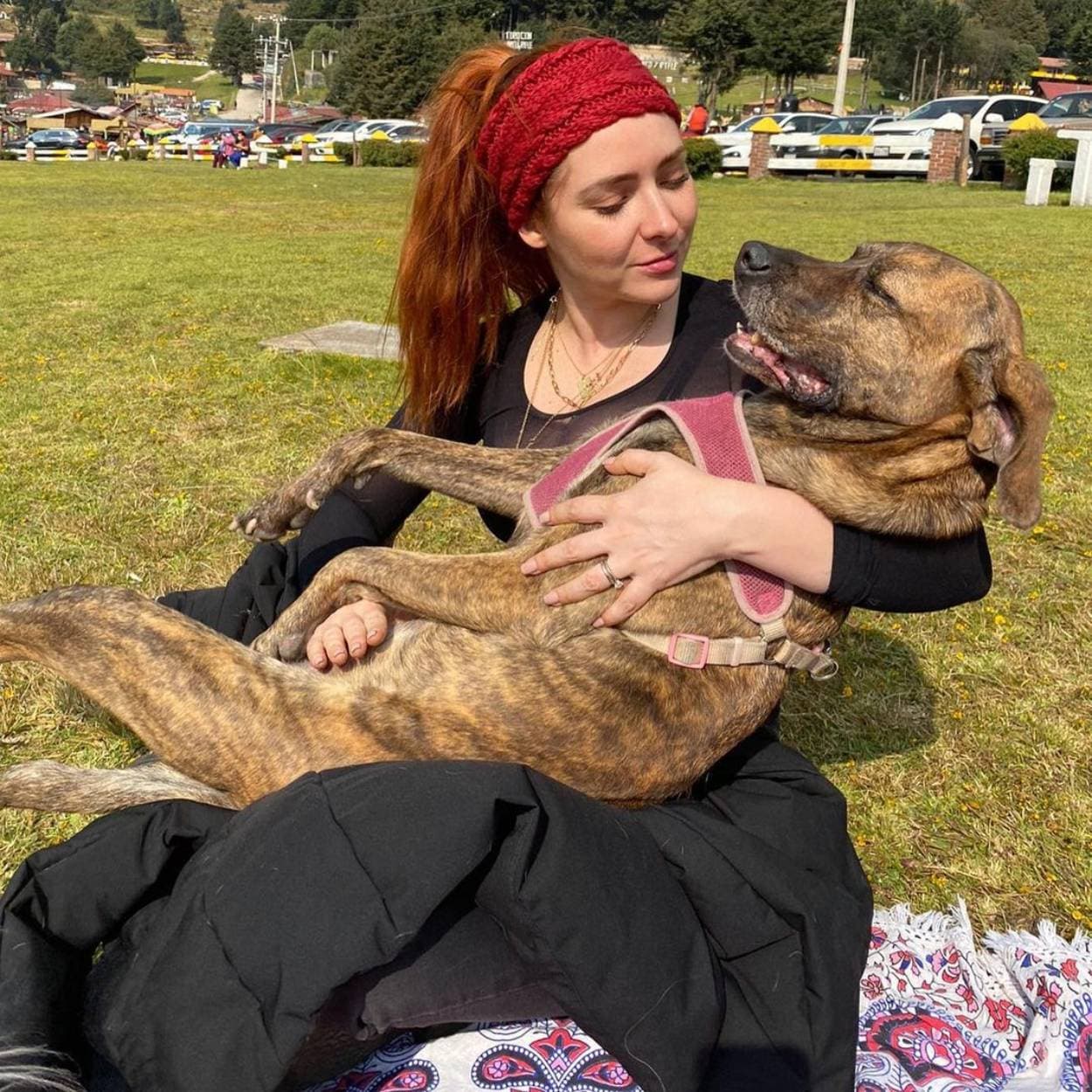 Ariadne Díaz revela que un cocodrilo se comió a su perrita Tacha
