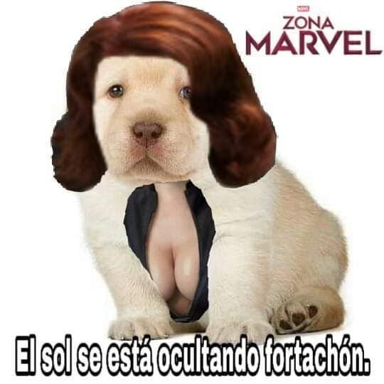A veces se pone bien extraño.