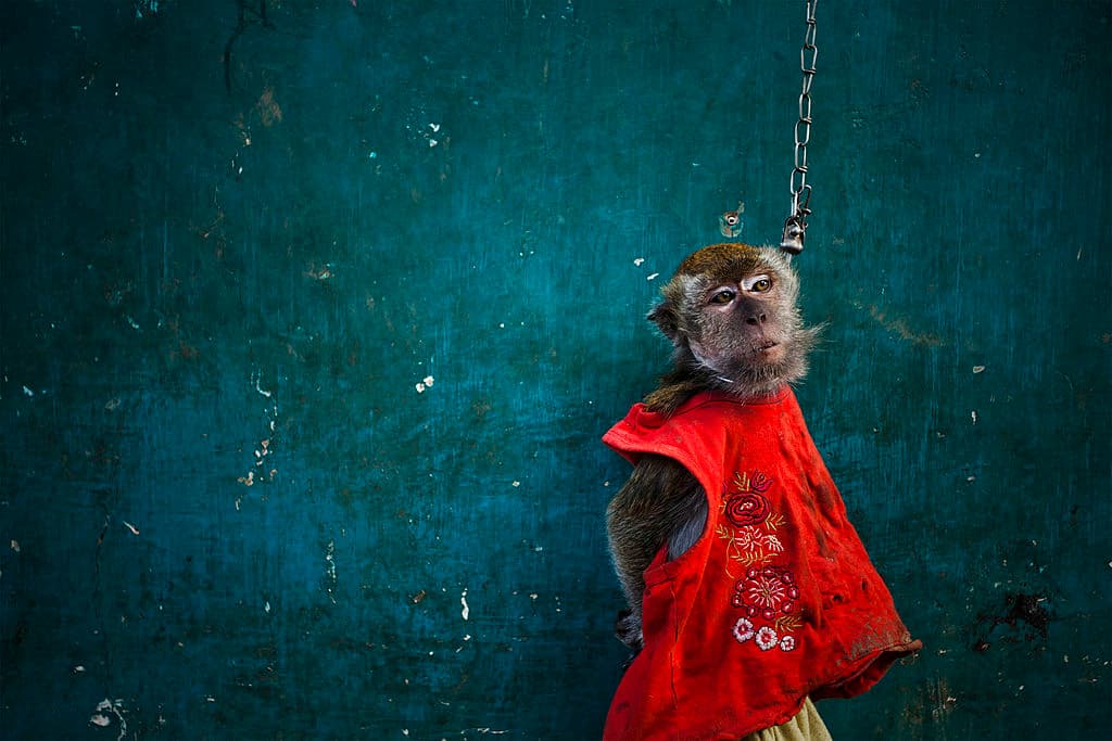 Topeng monyet es una tradición en varios países asiáticos.