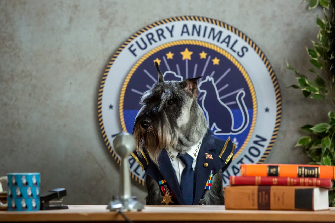 Para sorpresa de muchos, todos son animales reales y no se trata de CGI.