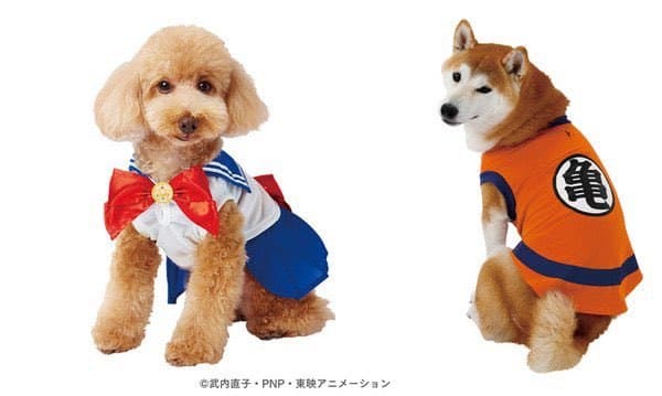 Cosplay Mascotas