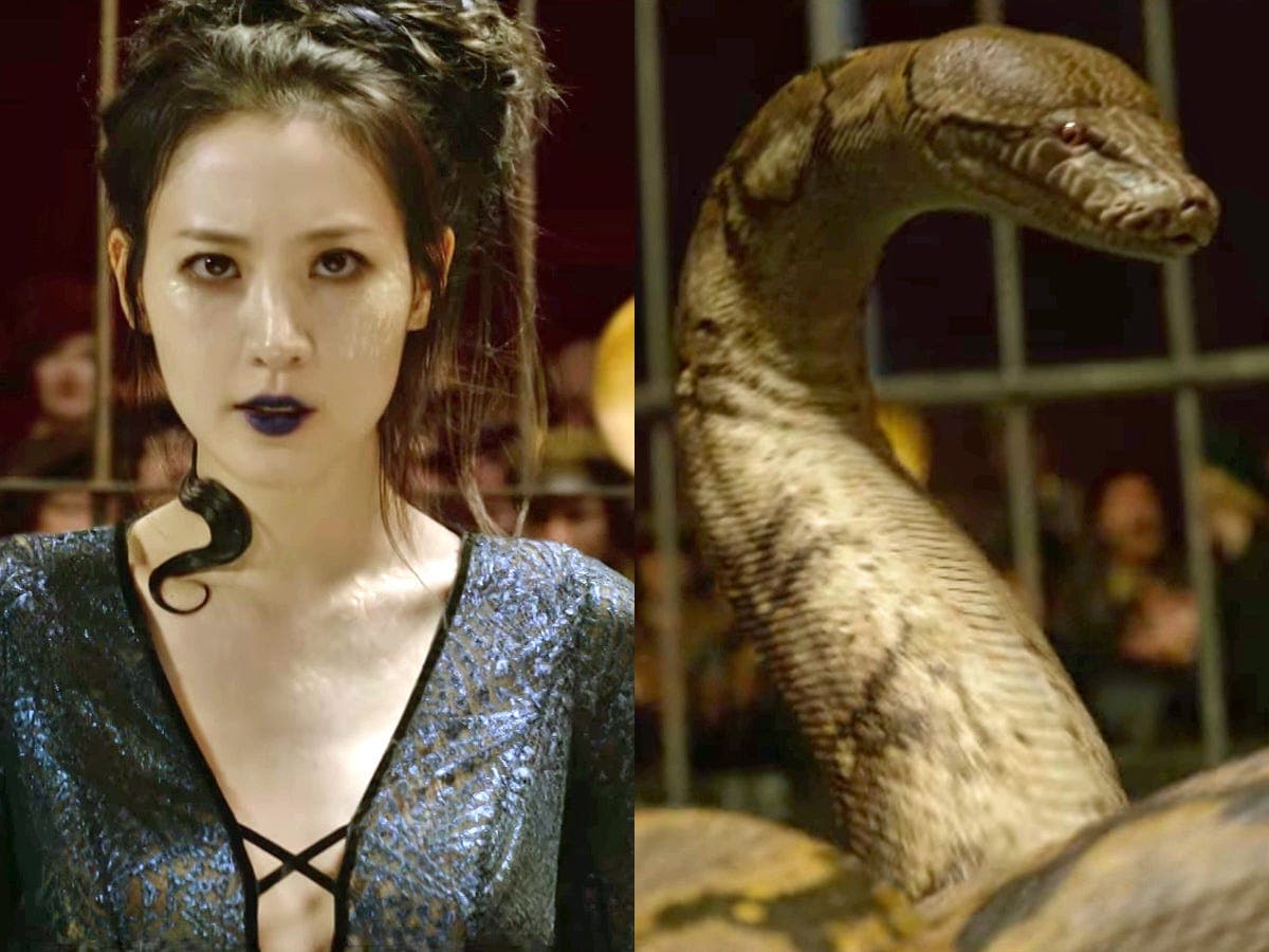En la literatura fantástica contemporánea tenemos a esta figura en el mundo de Harry Potter, desde la casa Slytherin, el basilisco y la mismísima Nagini, interpretada en 'Animaes Fantásticos' por la actriz surcoreana Claudia Kim.