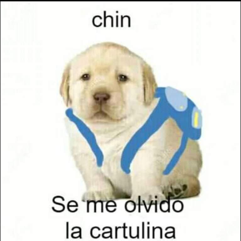 Hasta cuando se equivoca es tierno.