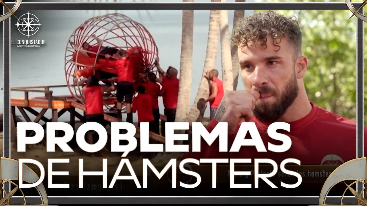 La carrera de hámsters provoca el enojo los rojos