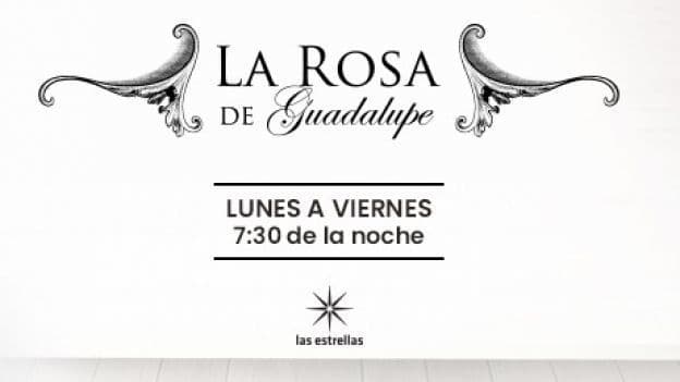 LA ROSA DE GUADALUPE