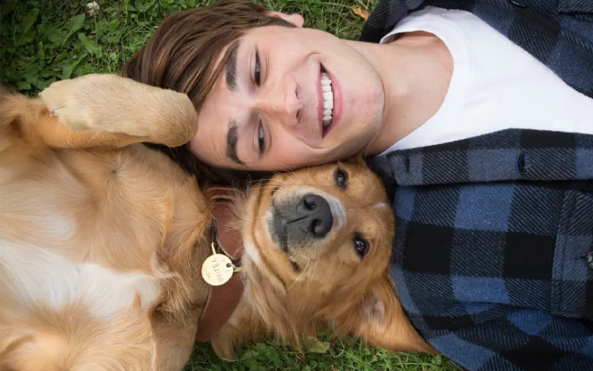La razón de estar contigo y más perritos llegan al cine domingo del 5