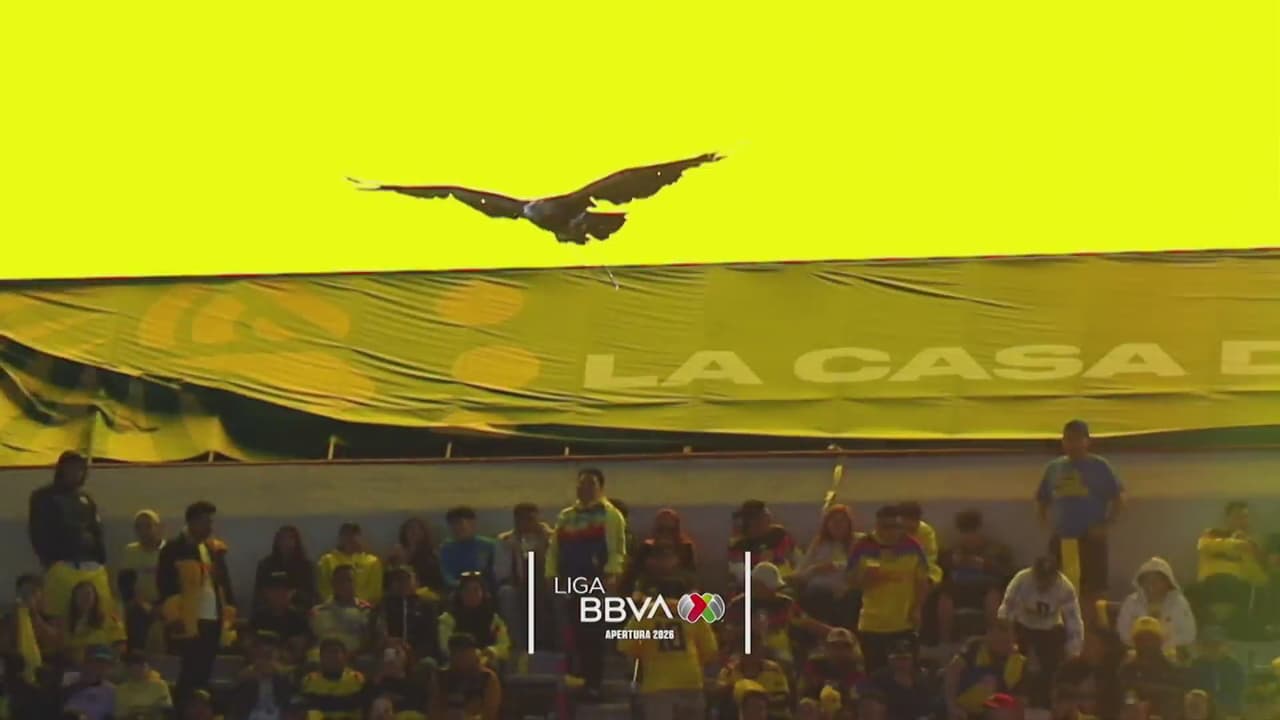 ¡Duelazo! Checa a qué hora ver el partido de América contra Pachuca por El 5