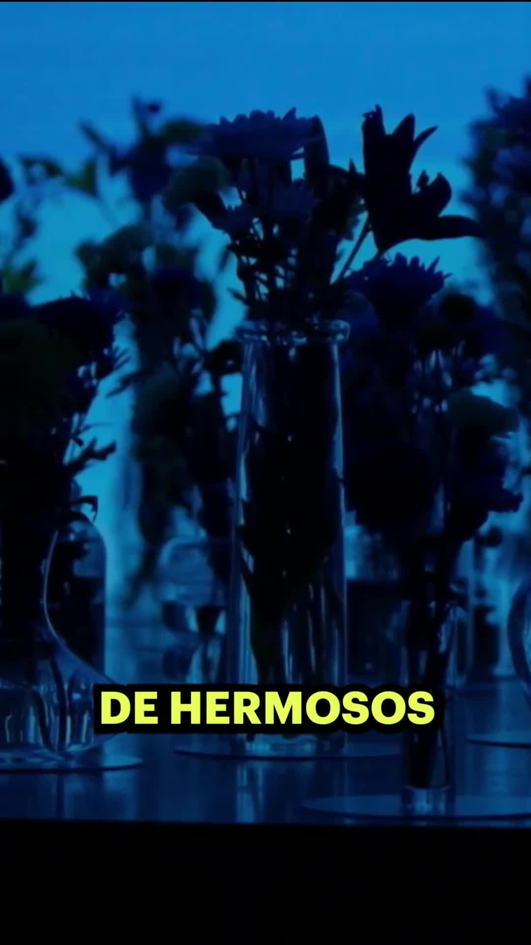 Delfina teme lo que pueda pasar con Margarita