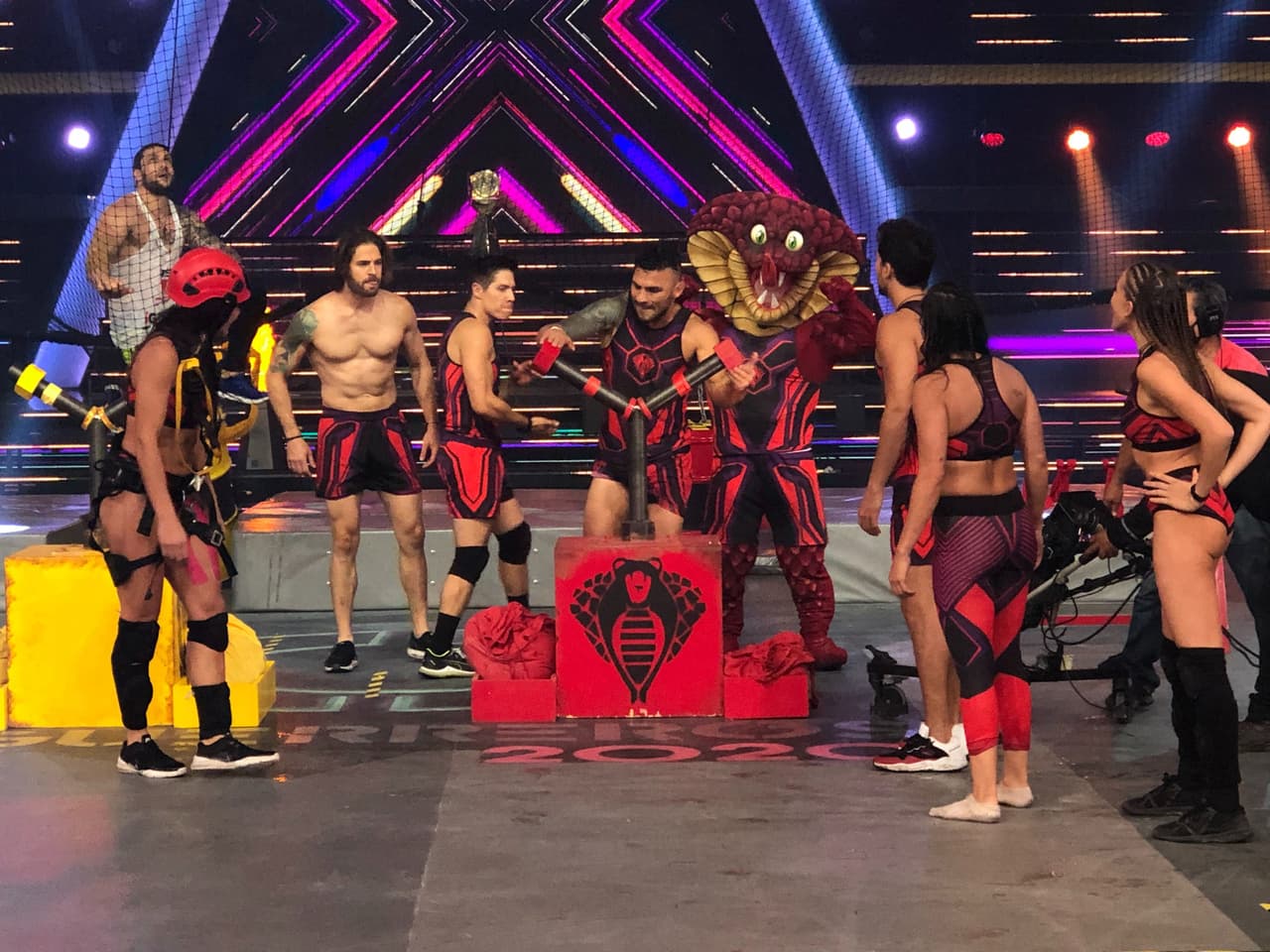 Reno enfrentó a Macky y le sacó la delantera. Cuando Reno estaba en los péndulos se cayó aparatosamente y comenzó a ser atendida. Yann hizo el relevo con Macky y, más tarde, Rasta siguió la partida que comenzó su compañera. Nano y Nicola hicieron el siguiente relevo. Entre todas las cobras tocaron la campana y acumularon 7200 puntos.