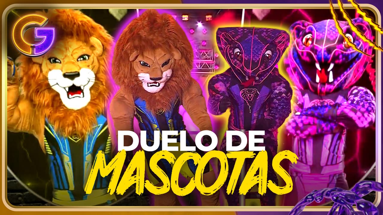 ¡¡Garra vs Veneno, las MASCOTAS de Cobras y Leones se ENFRENTAN!! 